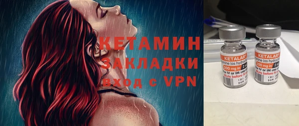 прущие грибы Вяземский