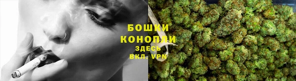 стаф Вязники