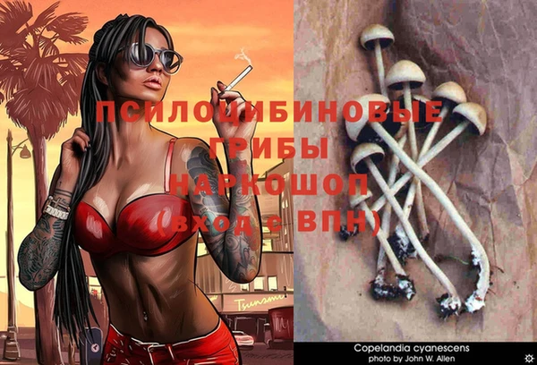 амф Алексеевка