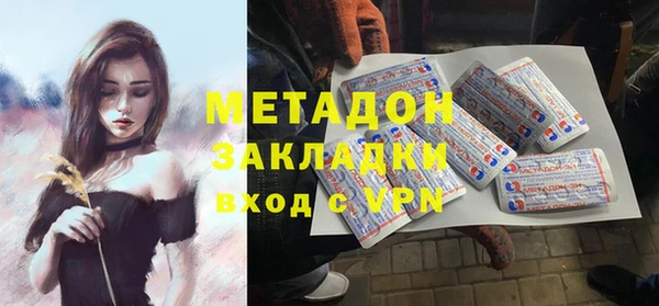 прущие грибы Вяземский