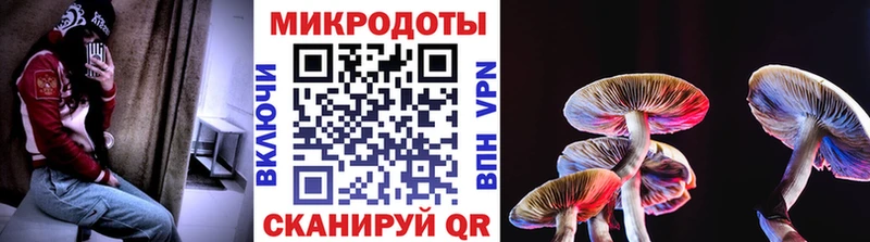 Галлюциногенные грибы прущие грибы  купить наркотики сайты  Харовск 